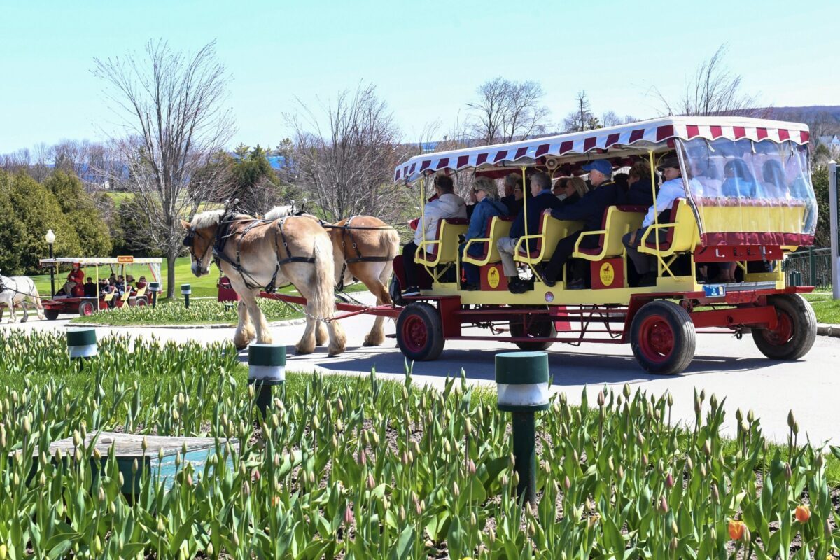 A Mackinac Island horse-drawn carriage takes National Tour Association conference attendees on a tour