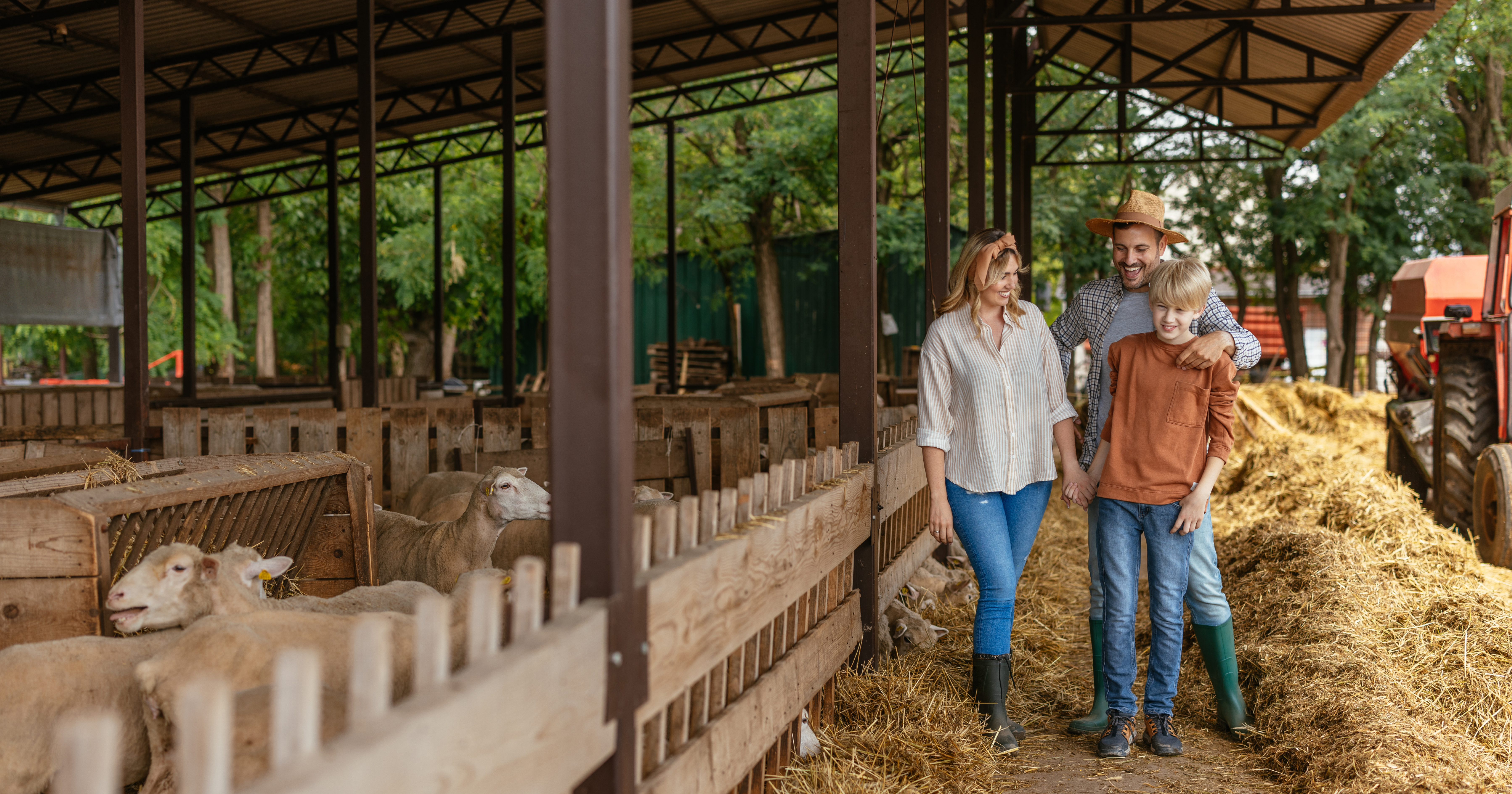 Family walking through a barn with sheep during an agritourism farm tour