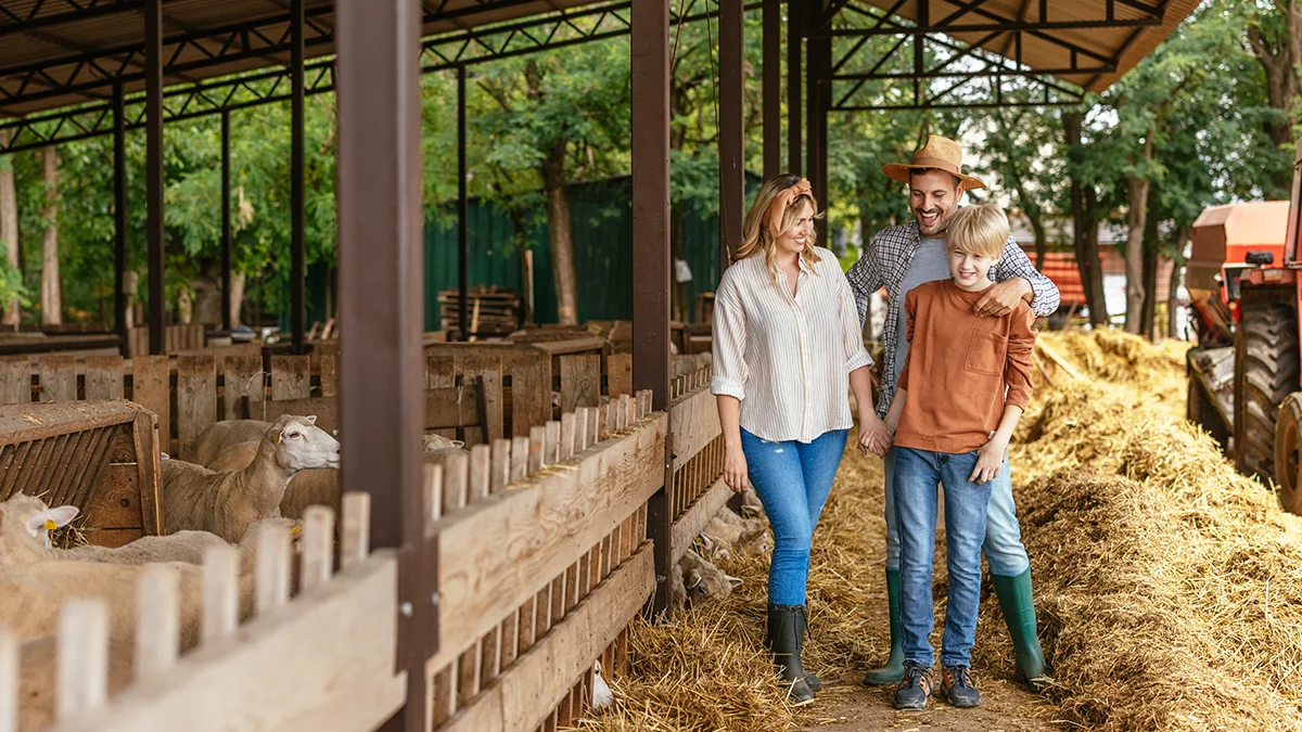 Family walking through a barn with sheep during an agritourism farm tour